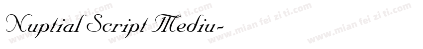 Nuptial Script Mediu字体转换